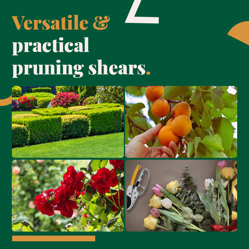 Pruning Shears For Easy Gardening And Precise Plant Trimming