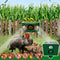 Beast Repellent Solar Warning Lights With Loud Sound Alarm