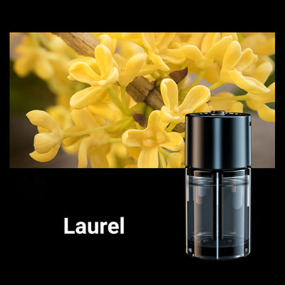 Car Humidifier Aromatherapy Diffuser Portable Air Mist Purifier