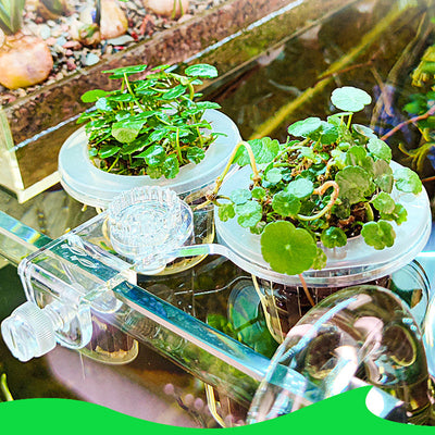Multi-use Transparent Hydroponic Plant Basket For Growing