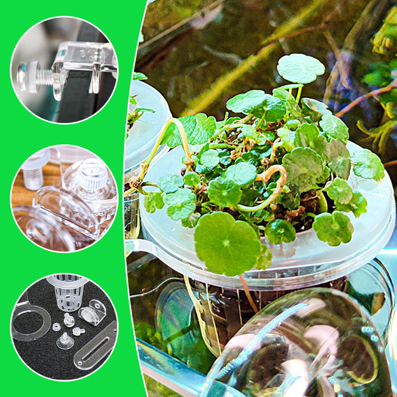 Multi-use Transparent Hydroponic Plant Basket For Growing