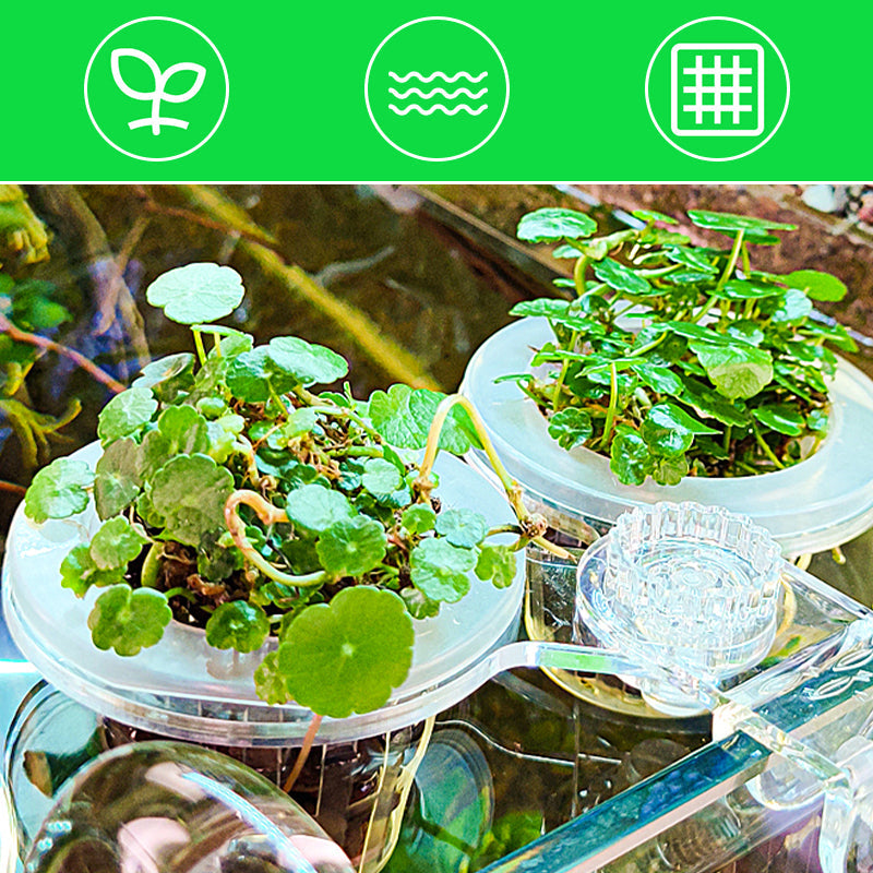 Multi-use Transparent Hydroponic Plant Basket For Growing