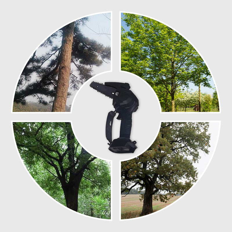 Cordless Pole Saw With Mini Chainsaw Function For Easy Pruning