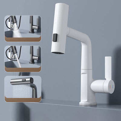 Pull-out Kitchen Faucet With Digital Display And Adjustable Lift