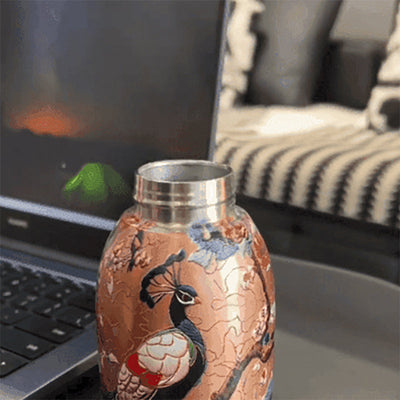Stylish Portable Insulated Water Bottle For Everyday Hydration
