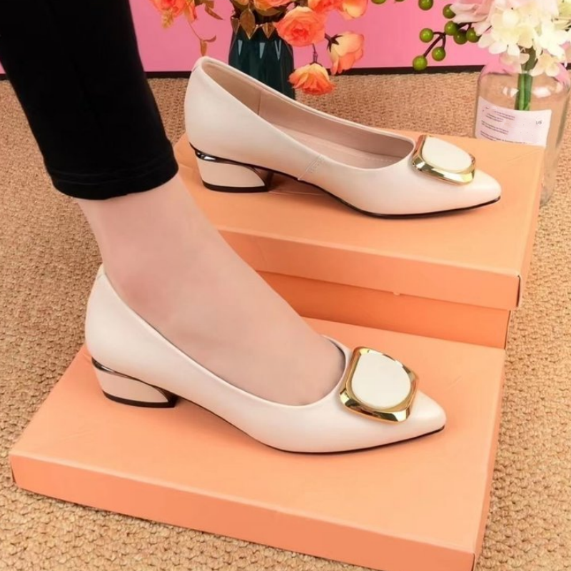 Women's Low Heel Pointed Toe Shoes Elegant Comfortable Design