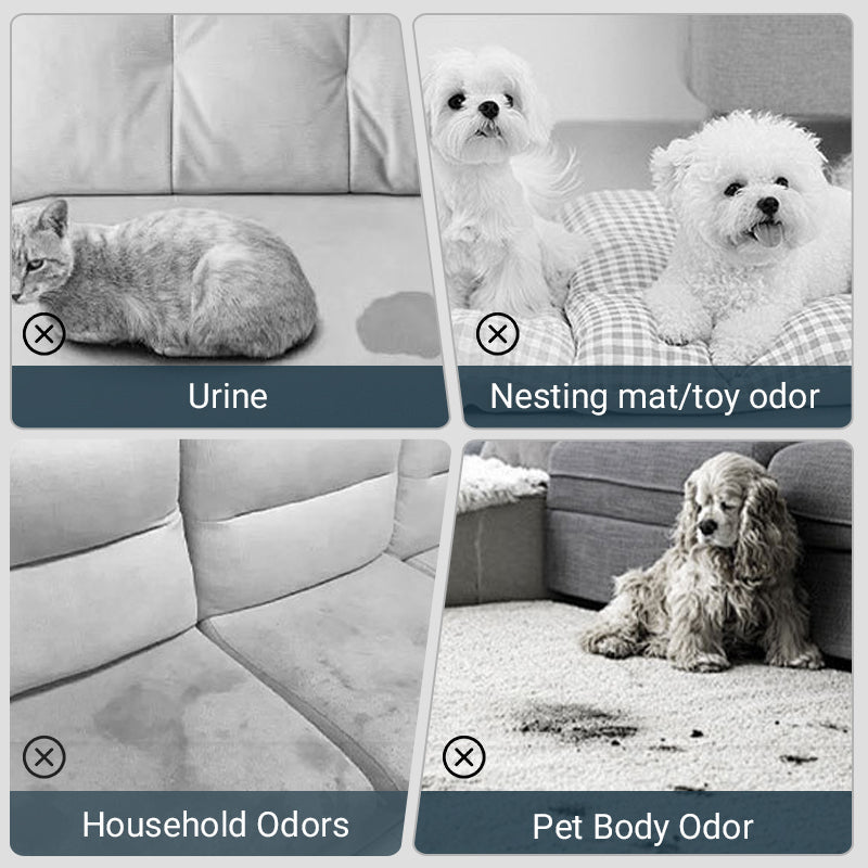 Pet Odor Eliminator Spray For Fresh And Clean Home Environment
