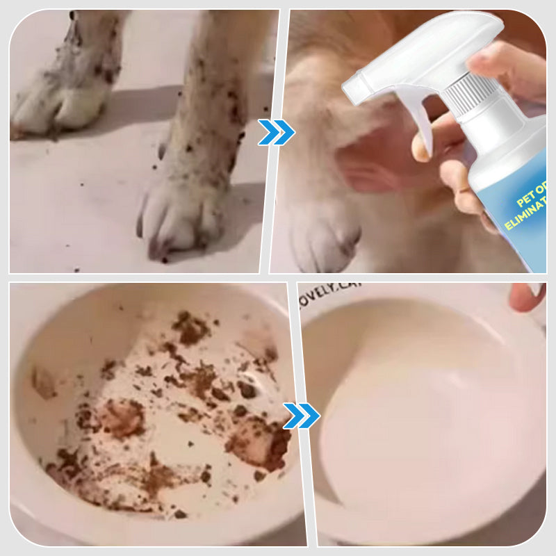 Pet Odor Eliminator Spray For Fresh And Clean Home Environment