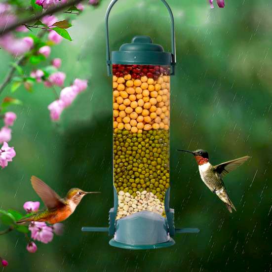 Squirrel-Proof Bird Feeder Hanging Hummingbird Water Feeder Tool