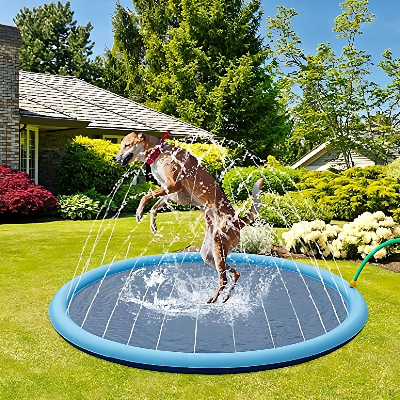 Dog Sprinkler Pad Cooling Water Play Mat For Summer Fun