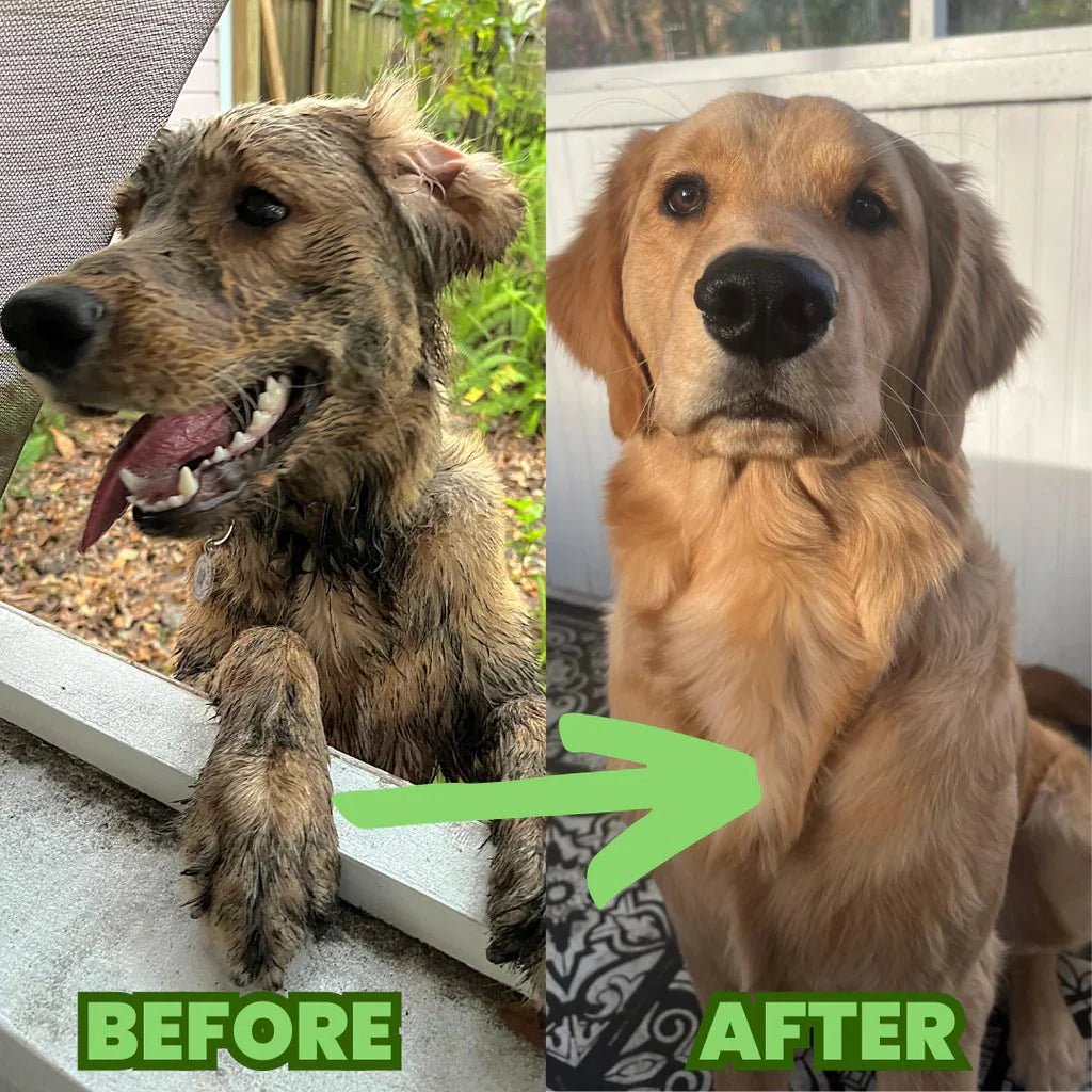 SuperJet Pup Dog Bath Cleaner For Easy Pet Grooming