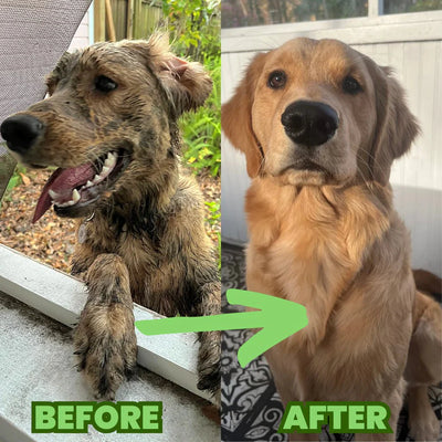 SuperJet Pup Dog Bath Cleaner For Easy Pet Grooming