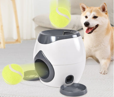 Automatic Tennis Ball Feeder With Reward System For Practice Sessions