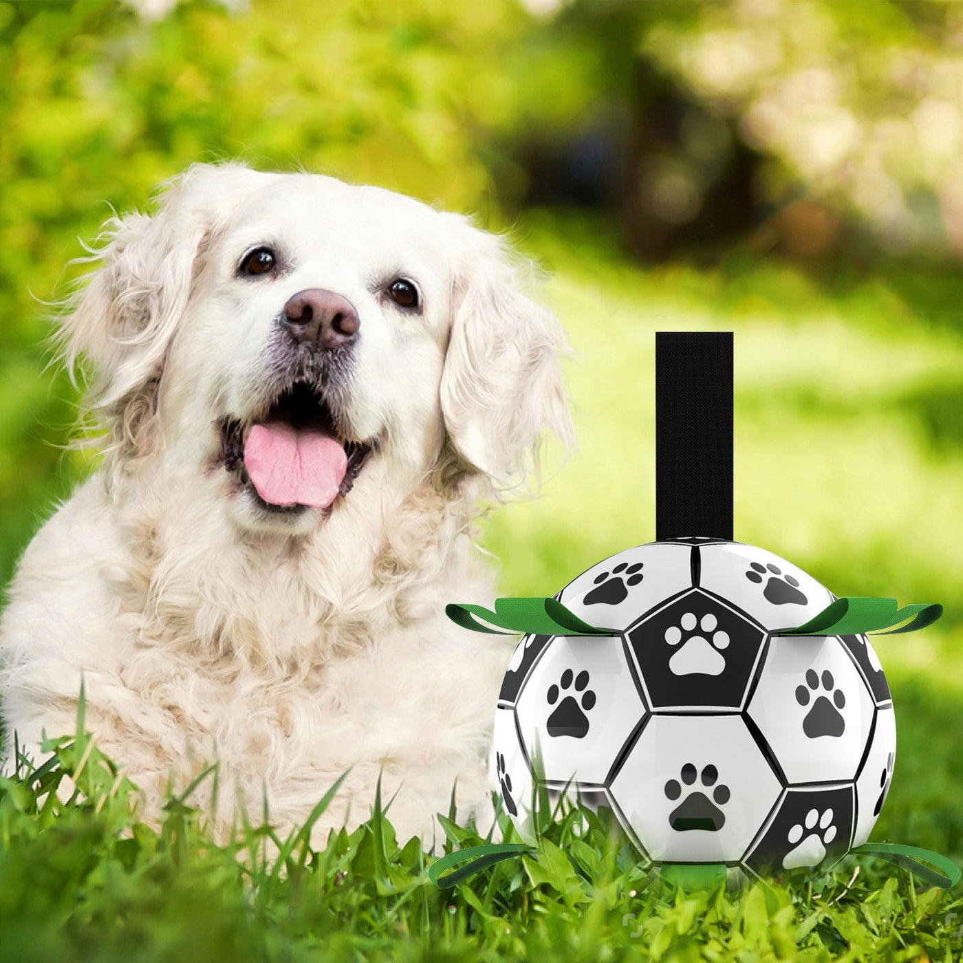 Bouncy Dog Toy Soccer Ball Perfect For Active Play