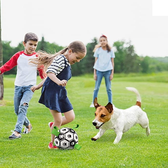 Bouncy Dog Toy Soccer Ball Perfect For Active Play