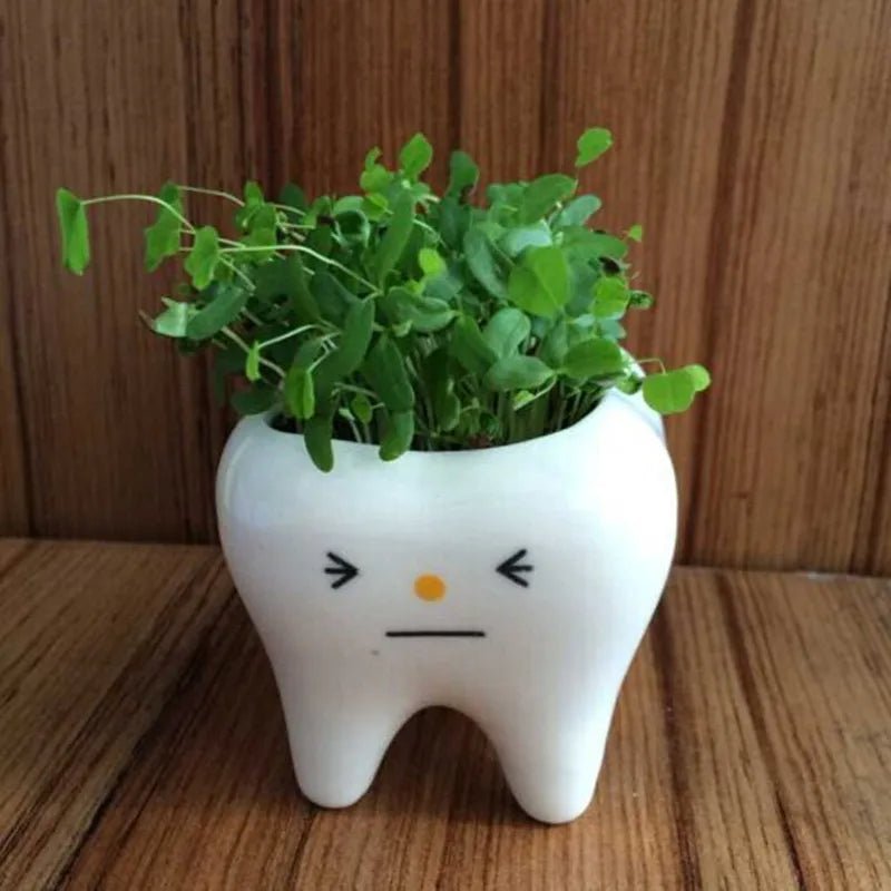 Tooth-Shaped Ceramic Vase Unique Decor For Flowers Pens And Planters