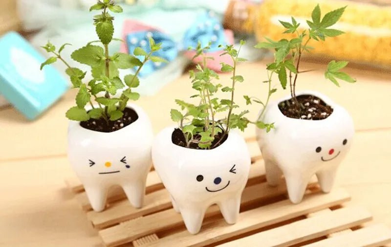 Tooth-Shaped Ceramic Vase Unique Decor For Flowers Pens And Planters
