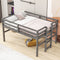 Twin Size Wood Loft Bed With Sturdy Side Ladder For Kids