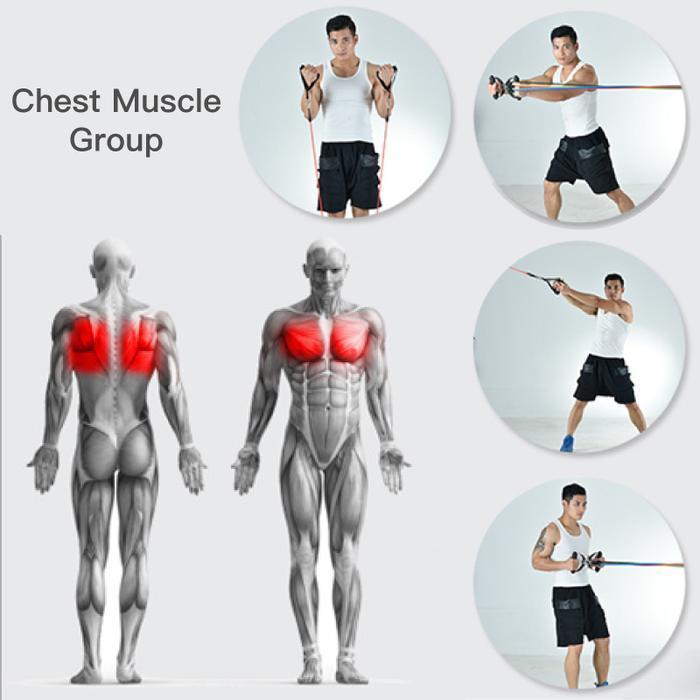 Resistance Band Set For Full Body Strength Training And Exercise