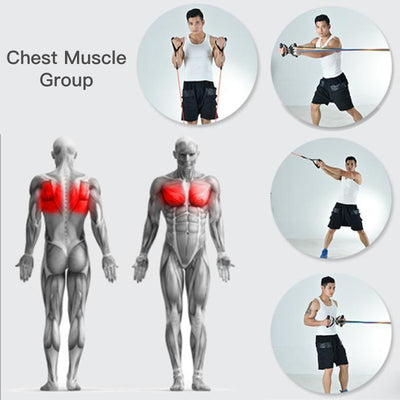 Resistance Band Set For Full Body Strength Training And Exercise