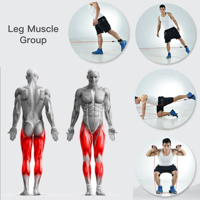 Resistance Band Set For Full Body Strength Training And Exercise