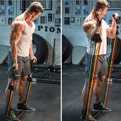 Resistance Band Set For Full Body Strength Training And Exercise