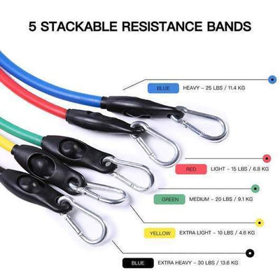 Resistance Band Set For Full Body Strength Training And Exercise