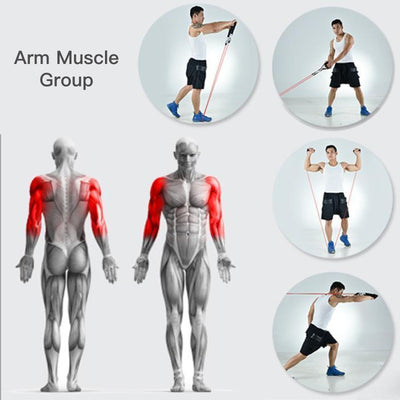 Resistance Band Set For Full Body Strength Training And Exercise