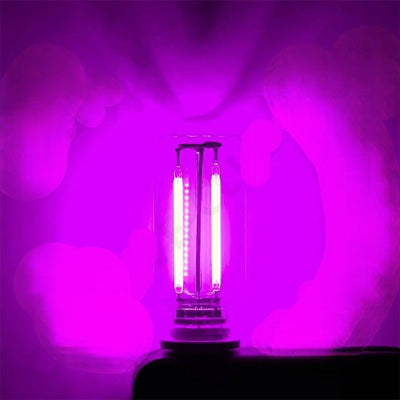 USB Touch-Control Incandescent Lamp Set Of 2 Warm Filament Bulbs 5V