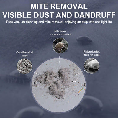 Handheld Cordless Mattress Vacuum Cleaner For Dust Mite Removal