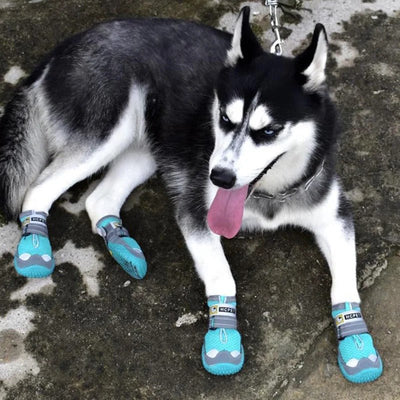 Waterproof Dog Shoes Protectors For Outdoor Paw Safety And Comfort