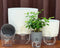 Self-Watering Planter Transparent Dual-Layer Flower Pot With Rope Irrigation