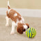 Wobble Wag Interactive Dog Toy With Giggle Glow Sounds