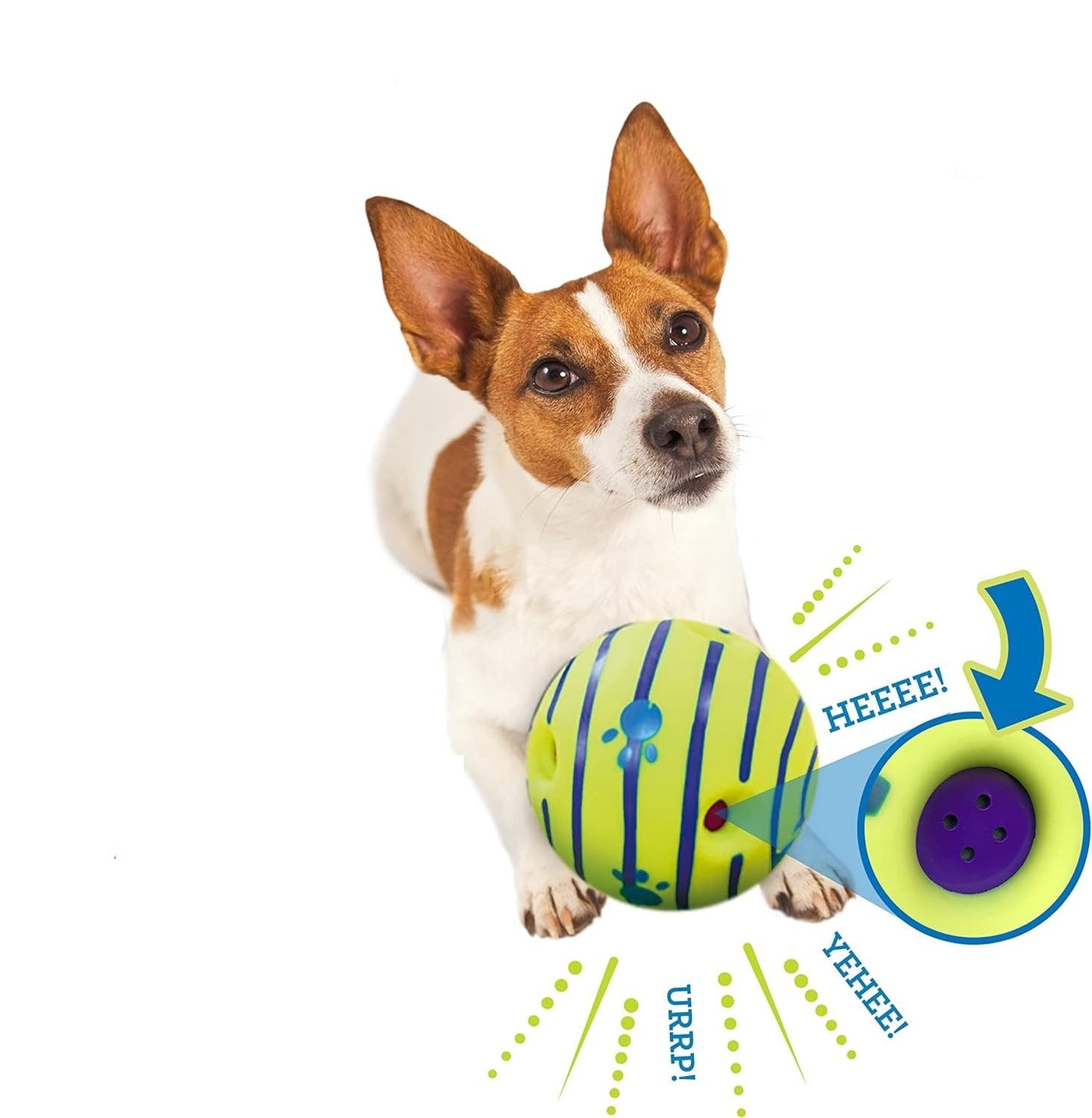 Wobble Wag Interactive Dog Toy With Giggle Glow Sounds